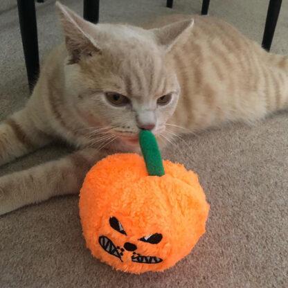 5060849870801 WufWuf Pumpkin Cat Toy "Cat-O-Lantern"