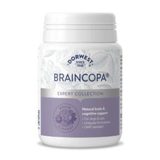 Dorwest BrainCopa® Tablets