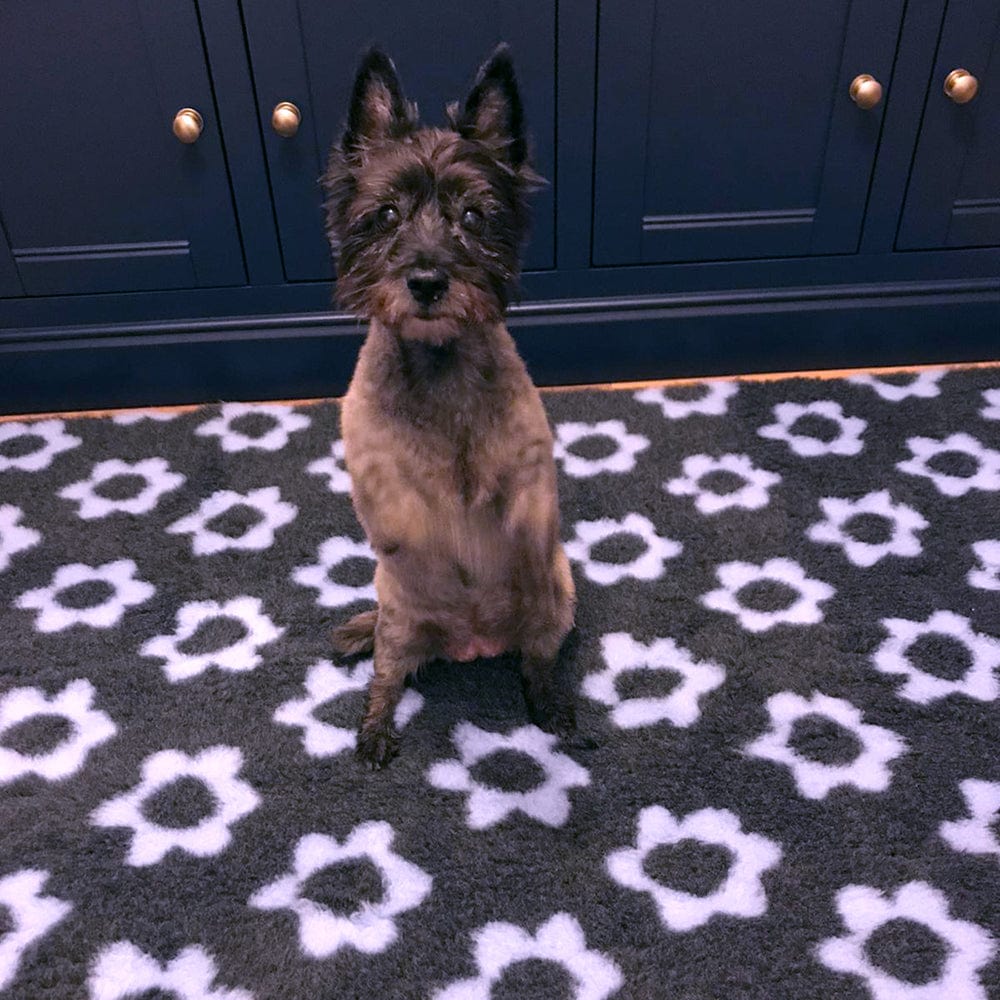 Please follow and like us: ProFleece Nature Collection non-slip pet bedding - Dog sat on the flower pattern